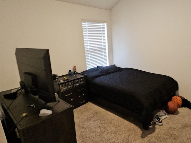 17718 Sommerset Falls Ln, Crosby, TX 77532 - bedroom with carpet floors