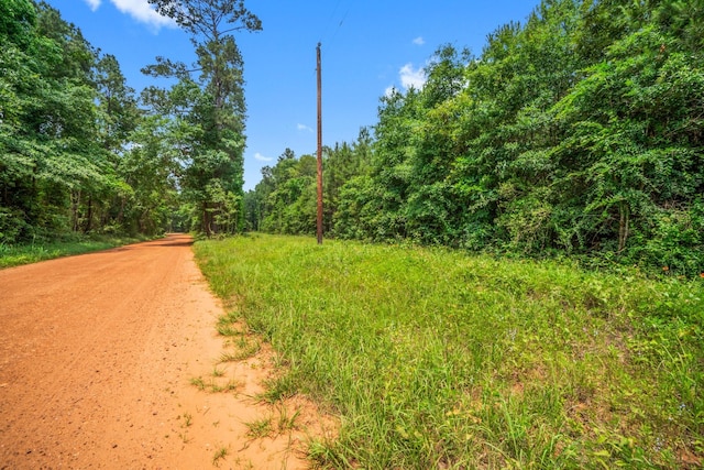TBD00 Menard Chapel Rd, Livingston, TX 77351