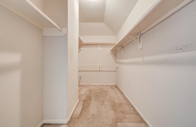 1418 High Thicket Ct, Spring, TX 77373 - walk in closet featuring carpet floors