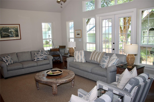 323 E County Road 461b, Brazoria, TX 77422 - living area featuring french doors and vaulted ceiling
