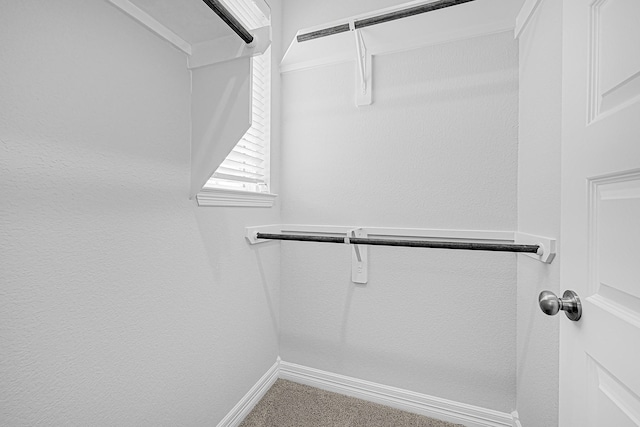 24634 Carleton Lake Ln, Tomball, TX 77375 - spacious closet featuring carpet flooring