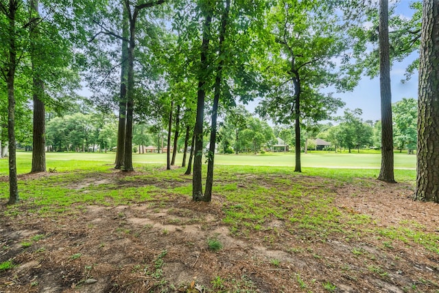 80 Hiwon Dr, Conroe, TX 77304 - photo 24