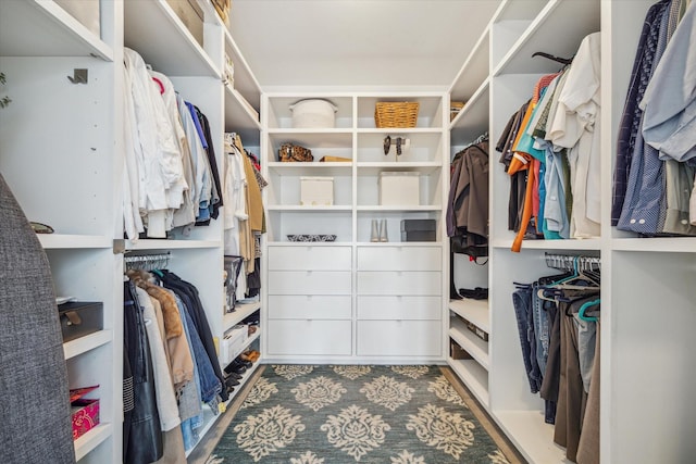 4812 Chenevert St Unit A, Houston, TX 77004 - view of spacious closet