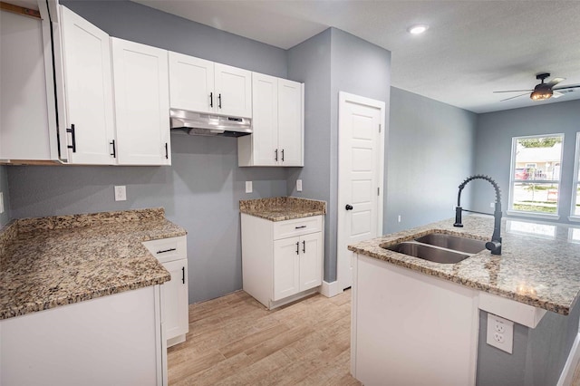 5714 Pershing St A/B, Unit A/B Houston, TX 77033 - kitchen featuring a sink, light wood-type flooring, under cabinet range hood, light stone counters, and white cabinets