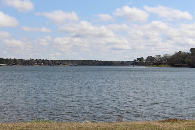 LOT39 Tejas Trl, Grapeland, TX 75844