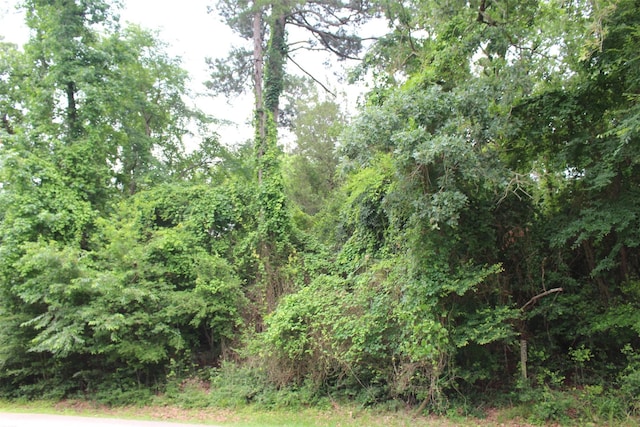 LOT39 Tejas Trl, Grapeland, TX 75844