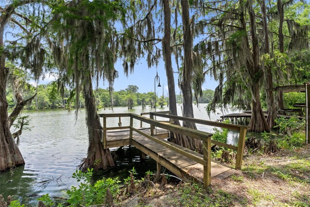 749 Ferguson Dr, Cleveland, TX 77327 - photo 25