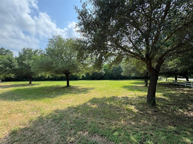 24077 Old Dobbin Plantersvil Rd, Montgomery, TX 77316 - photo 10