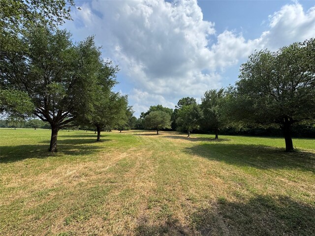 24077 Old Dobbin Plantersvil Rd, Montgomery, TX 77316 - photo 8