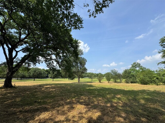 24077 Old Dobbin Plantersvil Rd, Montgomery, TX 77316 - photo 11
