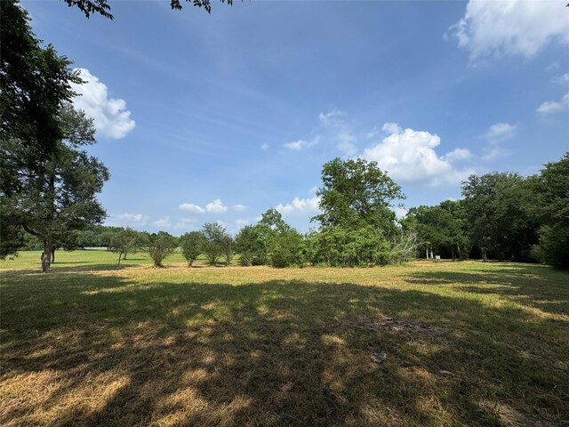 24077 Old Dobbin Plantersvil Rd, Montgomery, TX 77316 - photo 17