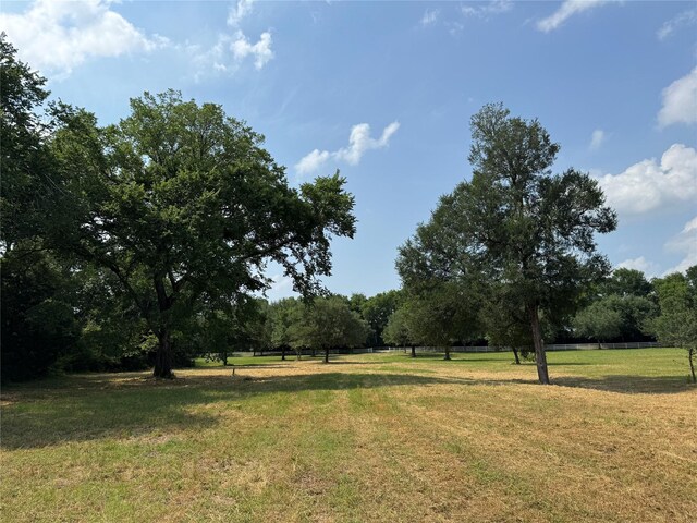 24077 Old Dobbin Plantersvil Rd, Montgomery, TX 77316 - photo 12