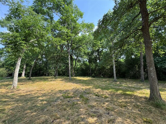 24077 Old Dobbin Plantersvil Rd, Montgomery, TX 77316 - photo 13