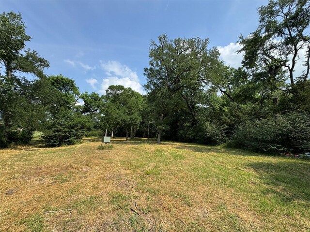 24077 Old Dobbin Plantersvil Rd, Montgomery, TX 77316 - photo 14