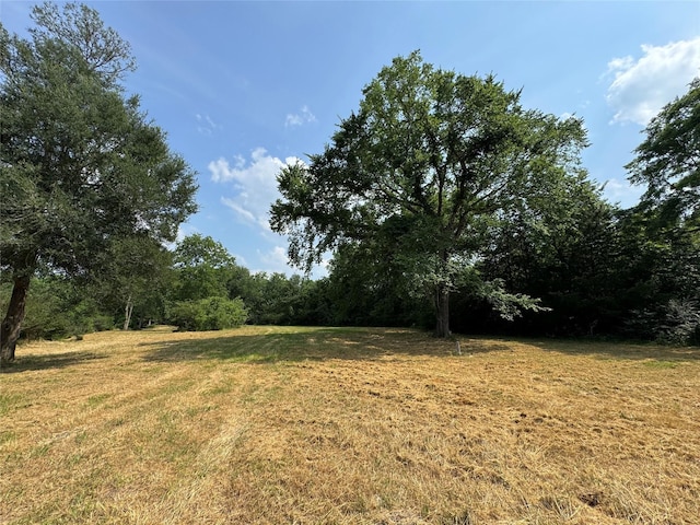 24077 Old Dobbin Plantersvil Rd, Montgomery, TX 77316 - photo 16