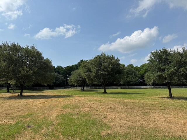 24077 Old Dobbin Plantersvil Rd, Montgomery, TX 77316 - photo 9