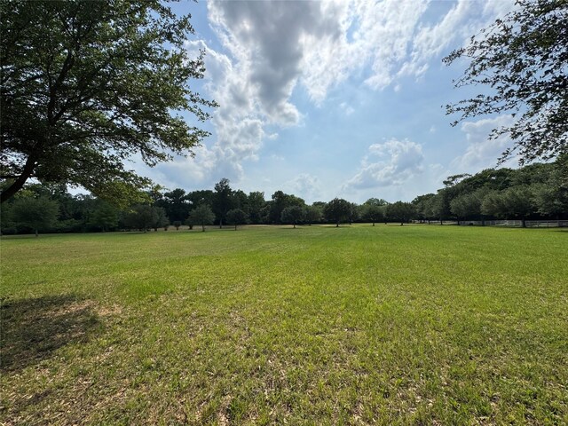 24077 Old Dobbin Plantersvil Rd, Montgomery, TX 77316 - photo 21