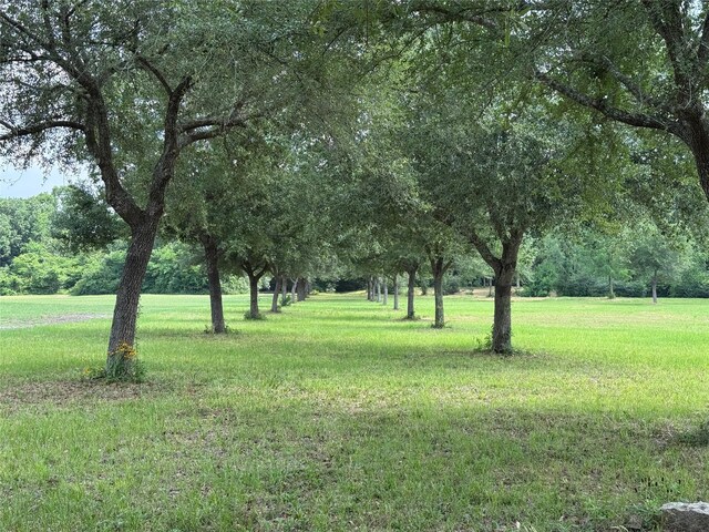 24077 Old Dobbin Plantersvil Rd, Montgomery, TX 77316 - photo 2