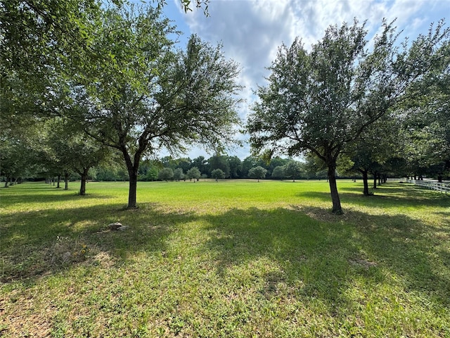 24077 Old Dobbin Plantersvil Rd, Montgomery, TX 77316 - photo 3