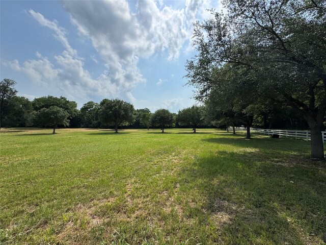 24077 Old Dobbin Plantersvil Rd, Montgomery, TX 77316 - photo 22