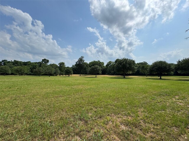 24077 Old Dobbin Plantersvil Rd, Montgomery, TX 77316 - photo 23