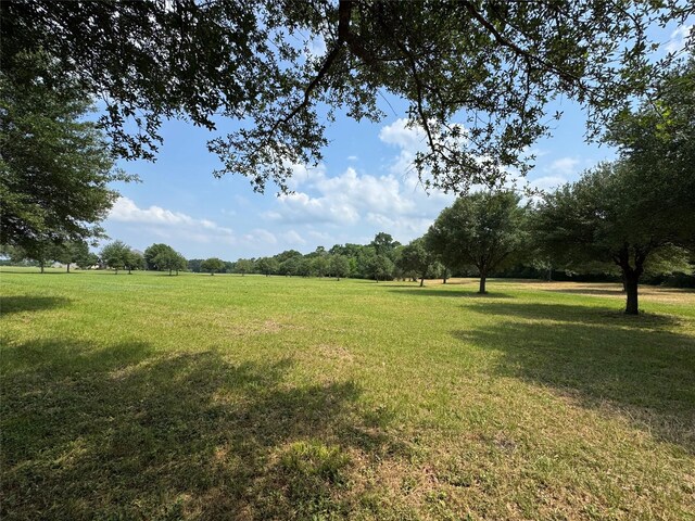 24077 Old Dobbin Plantersvil Rd, Montgomery, TX 77316 - photo 24