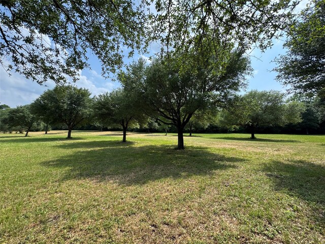 24077 Old Dobbin Plantersvil Rd, Montgomery, TX 77316 - photo 25