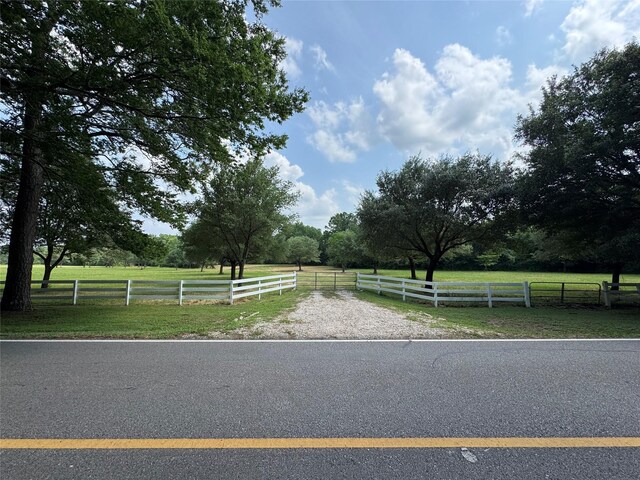 24077 Old Dobbin Plantersvil Rd, Montgomery, TX 77316 - photo 4
