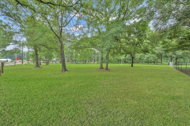 19710 Lowe St, Porter, TX 77365 - view of yard