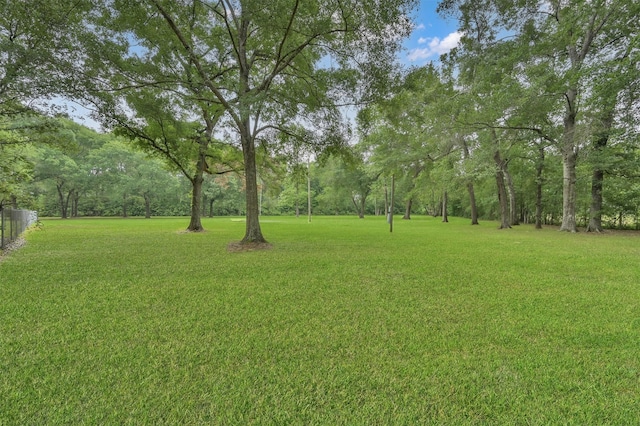 19710 Lowe St, Porter, TX 77365 - view of yard