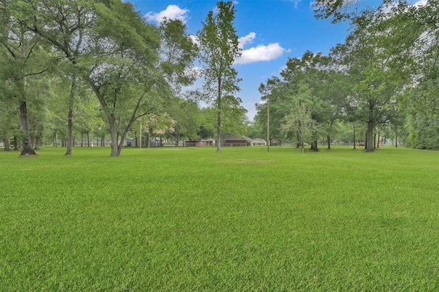 19710 Lowe St, Porter, TX 77365 - view of grassy yard