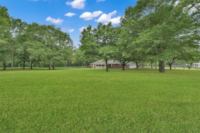 19710 Lowe St, Porter, TX 77365 - view of yard