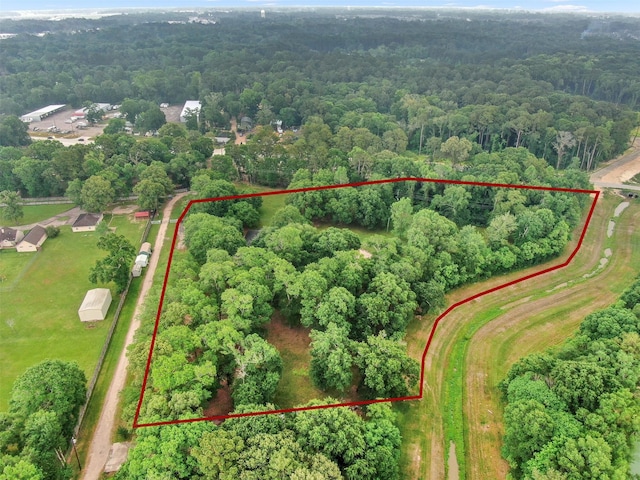 19710 Lowe St, Porter, TX 77365 - view of property location with a heavily wooded area and property parcel outlined