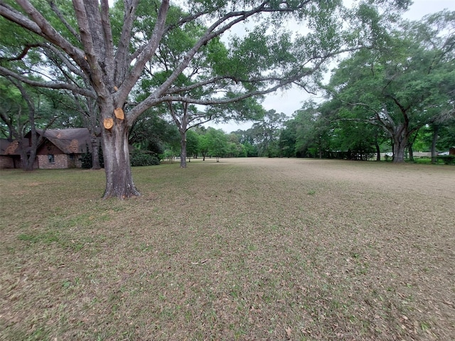 206 Garden W, Conroe, TX 77304 - view of yard