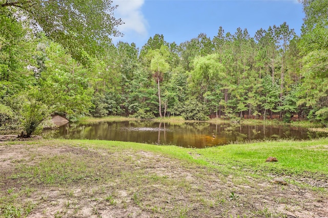 4019 Highland Pass, Montgomery, TX 77316 - photo 9