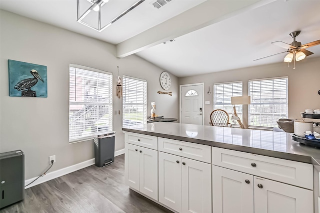4126 Reeves Dr, Galveston, TX 77554 - kitchen with a ceiling fan, healthy amount of natural light, baseboards, and wood finished floors