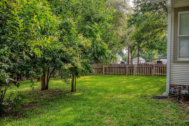 1708 S Park St, Brenham, TX 77833 - view of yard
