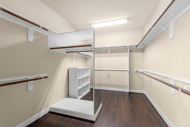 95 W Hullwood Cir, The Woodlands, TX 77389 - spacious closet with wood finished floors