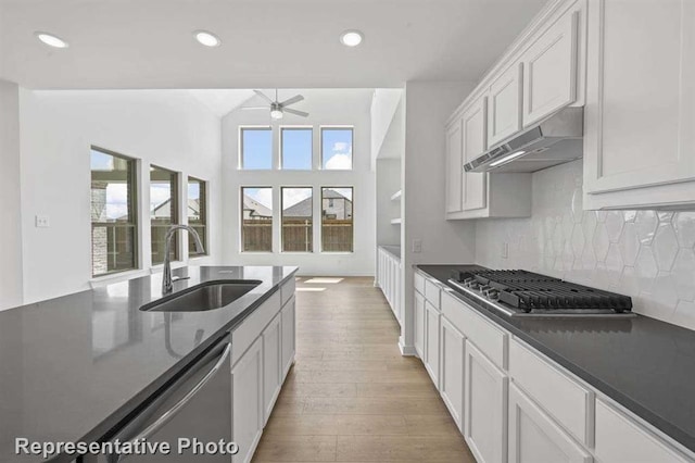 27007 Golden Isle Ln, Katy, TX 77493 - kitchen with under cabinet range hood, a sink, a ceiling fan, appliances with stainless steel finishes, and light wood-style flooring