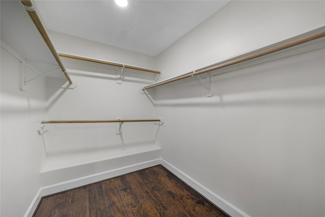 14531 County Cress Dr, Houston, TX 77047 - walk in closet featuring dark wood-type flooring