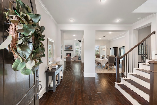 6914 Champion Trl, Katy, TX 77493 - foyer featuring stairs, wood finished floors, crown molding, and baseboards