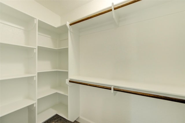 15203 Mcconn St, Houston, TX 77598 - view of spacious closet