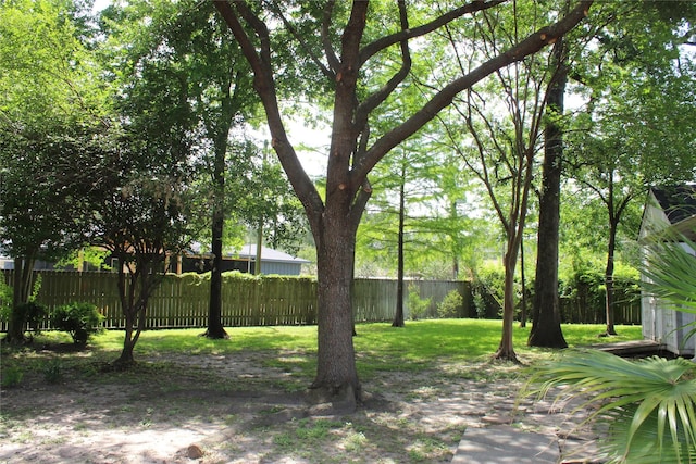638 Andover St, Spring, TX 77373 - view of yard