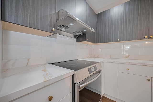 6058 Lyndhurst Dr, Houston, TX 77033 - kitchen with stainless steel electric stove, under cabinet range hood, wood finished floors, white cabinetry, and modern cabinets