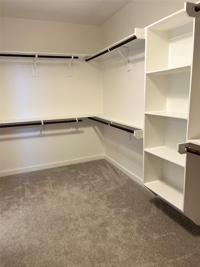 12531 Hilltop Mill Rd, Magnolia, TX 77354 - spacious closet with carpet