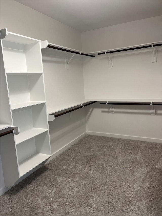 12531 Hilltop Mill Rd, Magnolia, TX 77354 - walk in closet featuring carpet floors