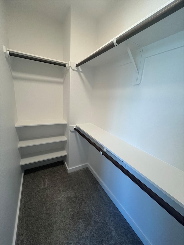 12531 Hilltop Mill Rd, Magnolia, TX 77354 - spacious closet featuring dark colored carpet