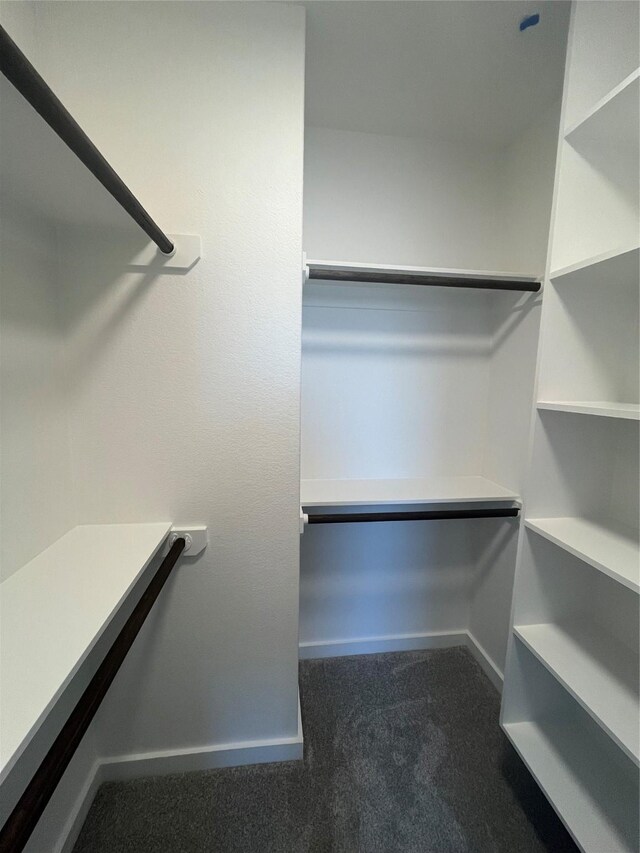 12531 Hilltop Mill Rd, Magnolia, TX 77354 - walk in closet featuring carpet flooring