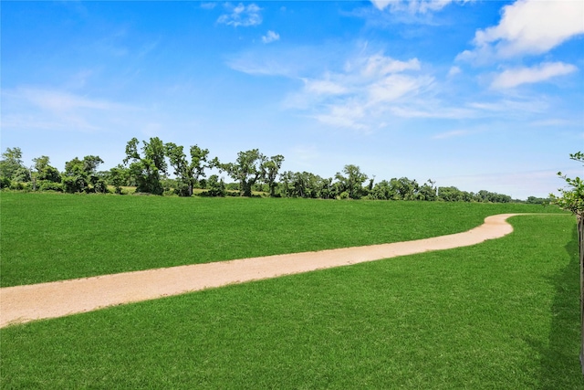 4019 Bellinger Way, Missouri City, TX 77459 - surrounding community with a yard