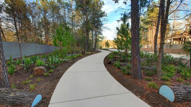 16542 Mandora Ln, Conroe, TX 77302 - view of property's community